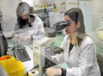 Farmacêuticos, biólogos e médicos partilham direção técnica de laboratórios